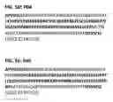 Fig. 08 - PURIFIED PROTEINS