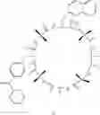Fig. 06 - Methods and systems for treating cell proliferation related disorders