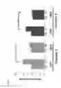 Fig. 07 - METHODS OF INHIBITING PHOTORECEPTOR APOPTOSIS