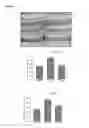 Fig. 16 - METHODS OF INHIBITING PHOTORECEPTOR APOPTOSIS