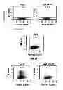 Fig. 03 - Capsid-modified rAAV vector compositions and methods therefor