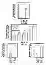 Fig. 18 - Capsid-modified rAAV vector compositions and methods therefor