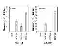 Fig. 63 - Capsid-modified rAAV vector compositions and methods therefor