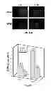 Fig. 67 - Capsid-modified rAAV vector compositions and methods therefor