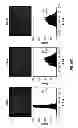 Fig. 69 - Capsid-modified rAAV vector compositions and methods therefor