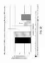 Fig. 04 - Bacteria-Mediated Therapy for Cancer