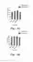 Fig. 05 - METHOD OF CONTROLLING TOMATO PLANT VIRUSES