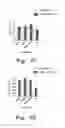 Fig. 06 - METHOD OF CONTROLLING TOMATO PLANT VIRUSES