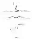 Fig. 02 - Neuron generation, regeneration and protection