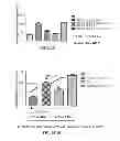 Fig. 06 - Neuron generation, regeneration and protection