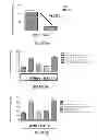 Fig. 11 - Neuron generation, regeneration and protection