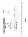 Fig. 29 - Neuron generation, regeneration and protection