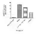 Fig. 30 - Neuron generation, regeneration and protection