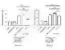 Fig. 31 - Neuron generation, regeneration and protection