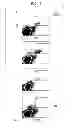 Fig. 08 - ADULT MESENCHYMAL STEM CELL (MSC) COMPOSITIONS AND METHODS FOR PREPARING THE SAME