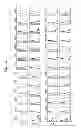 Fig. 14 - ADULT MESENCHYMAL STEM CELL (MSC) COMPOSITIONS AND METHODS FOR PREPARING THE SAME