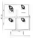 Fig. 15 - ADULT MESENCHYMAL STEM CELL (MSC) COMPOSITIONS AND METHODS FOR PREPARING THE SAME