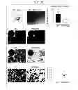 Fig. 17 - ADULT MESENCHYMAL STEM CELL (MSC) COMPOSITIONS AND METHODS FOR PREPARING THE SAME