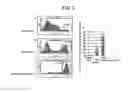 Fig. 04 - Methods for producing retinal tissue and retina-related cell