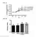 Fig. 05 - Treatment of limb ischemia