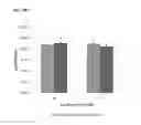 Fig. 09 - Use Of Lactic Acid Bacteria To Reduce Pathogens And As A Bio-Sanitizer