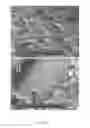 Fig. 08 - DEXTRAN-BASED TISSUELETTE CONTAINING PLATELET-RICH PLASMA LYSATE FOR CARTILAGE REPAIR