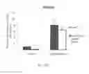 Fig. 16 - DEXTRAN-BASED TISSUELETTE CONTAINING PLATELET-RICH PLASMA LYSATE FOR CARTILAGE REPAIR
