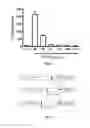 Fig. 05 - Compositions, methods and uses for alpha-1 antitrypsin fusion molecules