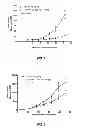 Fig. 08 - Methods of treating lung cancer