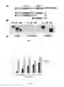 Fig. 08 - COMPOSITIONS AND METHODS OF USE FOR ANTIBODIES OF DICKKOPF-1