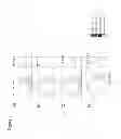 Fig. 04 - Methods of treating cancer using PD-1 axis binding antagonists and MEK inhibitors