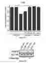 Fig. 15 - METHODS AND COMPOSITIONS TO MODULATE ANTIVIRAL AND IMMUNE ACTIVITY RESPONSES