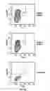 Fig. 18 - METHODS AND COMPOSITIONS TO MODULATE ANTIVIRAL AND IMMUNE ACTIVITY RESPONSES