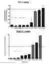 Fig. 20 - METHODS AND COMPOSITIONS TO MODULATE ANTIVIRAL AND IMMUNE ACTIVITY RESPONSES
