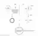 Fig. 01 - Bubble encapsulation via silicilic acid complexation