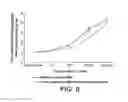 Fig. 07 - COMPOSITION FOR TARGETING DENDRITIC CELLS