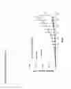 Fig. 12 - Cancer immunotherapy