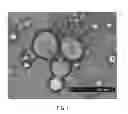 Fig. 03 - Emulsion stabilization via silicilic acid complexation