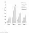 Fig. 22 - SMART™ SOLID ORAL DOSAGE FORMS