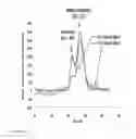 Fig. 40 - SMART™ SOLID ORAL DOSAGE FORMS