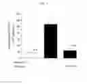 Fig. 06 - Pharmaceutical composition for inhalation