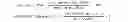 Fig. 03 - Enzymatic synthesis of poly(amine-co-esters) and methods of use thereof for gene delivery