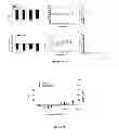 Fig. 08 - Enzymatic synthesis of poly(amine-co-esters) and methods of use thereof for gene delivery