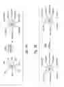 Fig. 03 - Functionalized nanoparticles for intracellular delivery of biologically active molecules