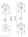 Fig. 06 - Functionalized nanoparticles for intracellular delivery of biologically active molecules