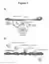 Fig. 02 - Use of foti to enhance stem cell mobilization and proliferation