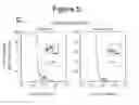 Fig. 08 - Use of foti to enhance stem cell mobilization and proliferation