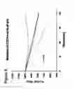 Fig. 12 - Use of foti to enhance stem cell mobilization and proliferation