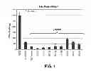 Fig. 02 - Methods of sterilizing fetal support tissues