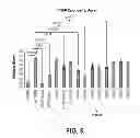 Fig. 06 - Methods of sterilizing fetal support tissues